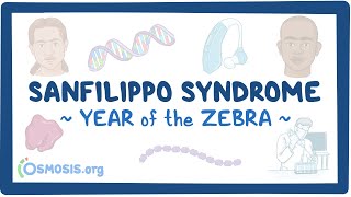 Sanfilippo syndrome Year of the Zebra [upl. by Rahm]