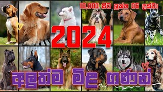 2024 වසරේ සුනඛ මිල ගණන්  Dog Price in Sri Lanka 2024 dogpricesrilanka dogprice2024 dogprice [upl. by Rip]