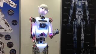 Robot Exhibition Tokyo quotiRexquot 2013 [upl. by Kciwdahc]