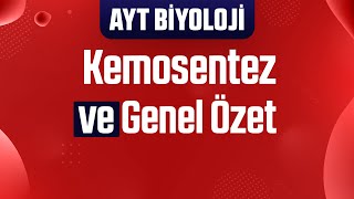 50 Kemosentez ve Genel Fotosentez  Kemosentez Özeti [upl. by Eadwina]