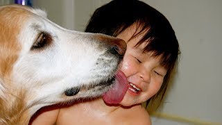 THE MOST KID FRIENDLY DOG BREEDS [upl. by Leirrad89]