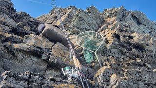 uk lure fishing 💥 explosive wrasse fishing on lures Anglesey fishing  fishing quality moments [upl. by Deonne218]