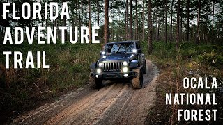 Exploring Osceola National Forest with 2 FJ Cruisers and a Rivian R1T [upl. by Tatia]