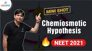 NEET 2021  Chemiosmotic Hypothesis  ATP synthesis  Light reaction  Class 11  Botany  Mini Shot [upl. by Penelopa]