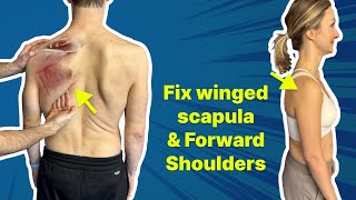 The 1 Exercise to Fix Winged Scapula amp Forward Shoulder  GET OUT of PAIN [upl. by Onivag775]