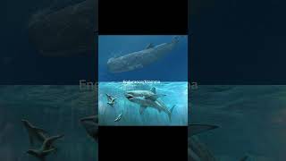 Otodus Chubutensis vs Physetodon apexpredator shark paleontology science whale animals facts [upl. by Akemed]