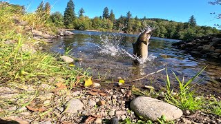 Cowlitz River Bank Fishing [upl. by Lecrad417]