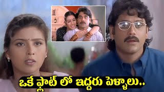 King Nagarjuna Super Hit Movie Scene  Aavida Maa Aavide Movie Scenes  Blockbuster Movie  IDream [upl. by Sadonia]