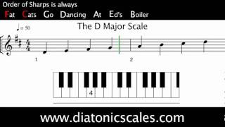 D Major diatonic scale [upl. by Vallonia]