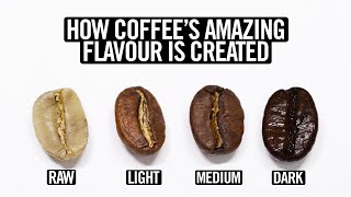 Coffee Roasting Explained [upl. by Jaycee33]