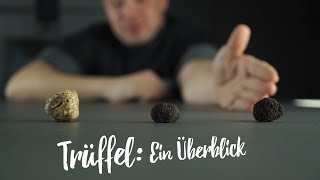 Trüffel Alles im Überblick Gourmondo Produktwissen [upl. by Iviv]