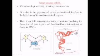 RNA structure  tertiary structure [upl. by Anahsit]