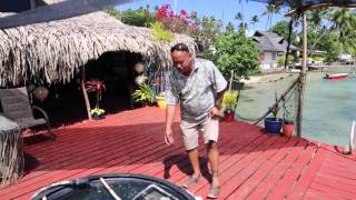 Polynésie française Bora Bora Ferme perlière  French Polynesia Bora Bora Pearl Farm [upl. by Rednael439]