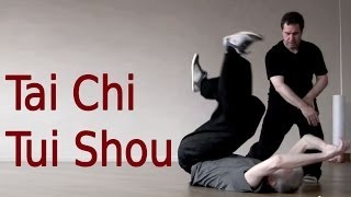 Tai Chi Tui Shou Training 太极推手教学 [upl. by Oliric]