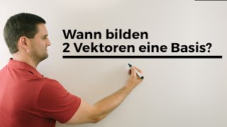 Wann bilden 2 Vektoren eine Basis Mathe by Daniel Jung Erklärvideo [upl. by Mathre959]