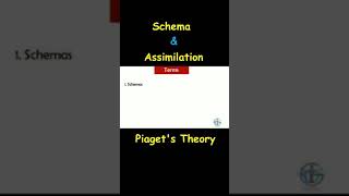 What is Schema What is Assimilation Piagets Theory  Shorts schema psychology shorts [upl. by Rogerson447]