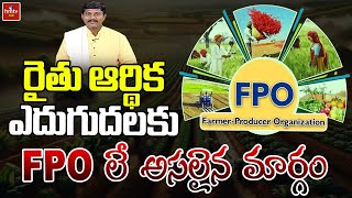 రైతు ఆర్థిక ఎదుగుదలకు FPO లే అసలైన మార్గం  Nelathalli  hmtv Agri [upl. by Rebecka76]