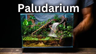 I Made a Paludarium With a Working Waterfall Here’s How [upl. by Adelpho]