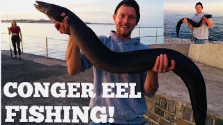 SHORE FISHING FOR CONGER EEL Day time congers [upl. by Asyle]