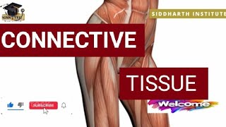 Connective Tissue Information ℹ️💫🧲 [upl. by Ahsiki94]