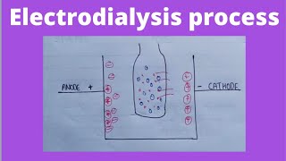 Electrodialysis in hindi  colloidal dispersion  physical pharmaceutics 4 semester [upl. by Blessington]