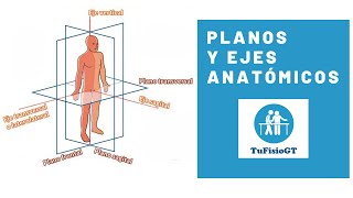 Planos y ejes anatómicos TuFisioGt [upl. by Vladimar671]