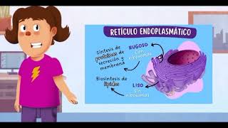 Organelos celulares 4° A [upl. by Fretwell]