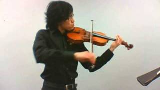 bach unaccompanied violin partita no2 allemande [upl. by Utas494]