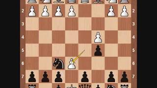 Chess Openings Benoni Defense [upl. by Lieno]