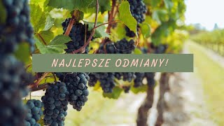 NAJLEPSZE ODMIANY WINOGRON 🍇 Odporne na choroby i smaczne [upl. by Aihpos728]