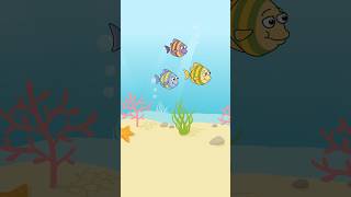 🐟🐡🐠Drei kleine Fische schwammen im Meer  Sing Kinderlieder [upl. by Dun]