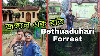 Bethuadahari Wildlife Sanctuary  One Night Stay In Forrest Bungalow  Vlog 10 [upl. by Lotson44]