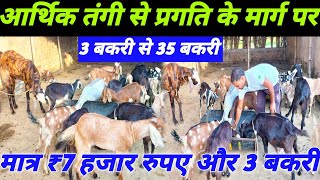 कुछ समझ नही आया तो ₹7000 रुपए में 3 बकरी से Goat Farming की शुरुआत परिणाम सामने है Black Bengal Goat [upl. by Ursa]