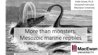 Hallie Street More than monsters Mesozoic marine reptiles [upl. by Floss490]