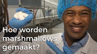 Hoe worden marshmallows gemaakt  Vragen van Kinderen [upl. by Sherrill]