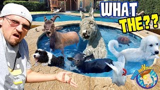 ANIMAL POOL PARTY FV Family Vlog [upl. by Nye]