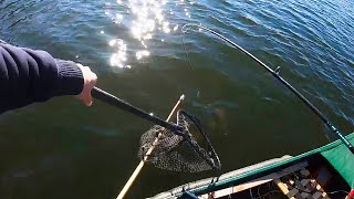 Searching for Back lake Walleye SUCCESS  Southern Ontario [upl. by Erlina]