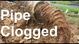 How to Unclog Underground Drainage Pipe  Step by Step Guide [upl. by Ellemaj]