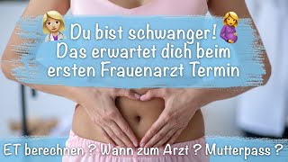 Der erste Frauenarzt Termin in der Schwangerschaft Das erwarte dich jetzt [upl. by Llerrah]