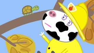 Peppa Pig Full Episodes Naughty Tortoise 104 [upl. by Enegue]