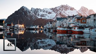 Harbor Sounds for Sleep Henningsvær Village Sunrise Lofoten Norway 3 Hours [upl. by Gardia]