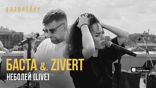 Баста amp Zivert  неболей LIVE [upl. by Brnaby]