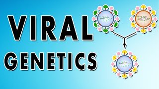 Reassortment Phenotypic mixing Recombination and Complementation [upl. by Asirral]