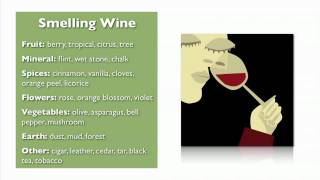 Wine Basics from My Wine Smarts [upl. by Hnahk788]