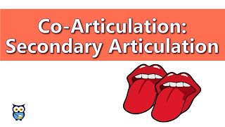 CoArticulationː Secondary Articulation [upl. by Alaehcim719]