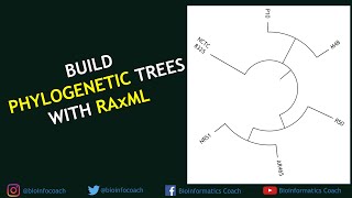 How to Build any Phylogenetic Trees using RAxML and iTOL  Bioinformatics for Beginners Tutorial [upl. by Alleira]