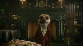 Official Compare the Meerkat Jingle Advert by Aleksandr Orlov [upl. by Zoubek523]