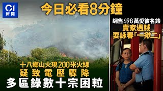 今日新聞 香港 十八鄉山火現200米火線 疑致多區電壓驟降｜港鐵站交收98萬錶遇賊 賣家耍詠春「一揪二」｜01新聞｜北上｜復活節｜老鼠｜西貢｜2024年3月30日 hongkongnews [upl. by Assirehs]