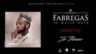 Fabregas le Métis Noir  Ndoto  Audio [upl. by Dnumyar]