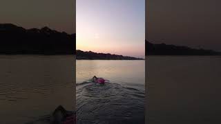 New Danube  Open Water Swim [upl. by Romney]